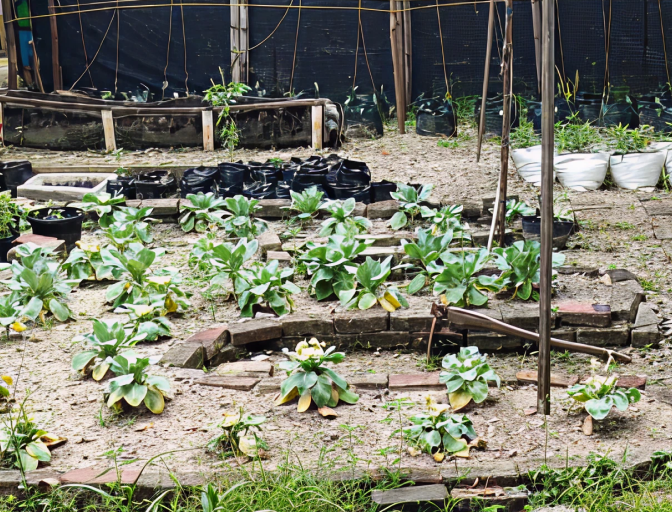 Pelantikan Saka Kalpataru