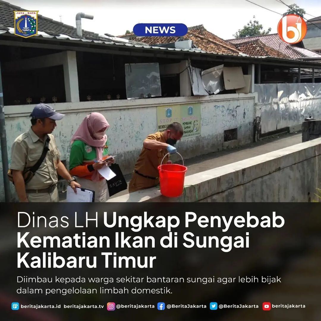 News